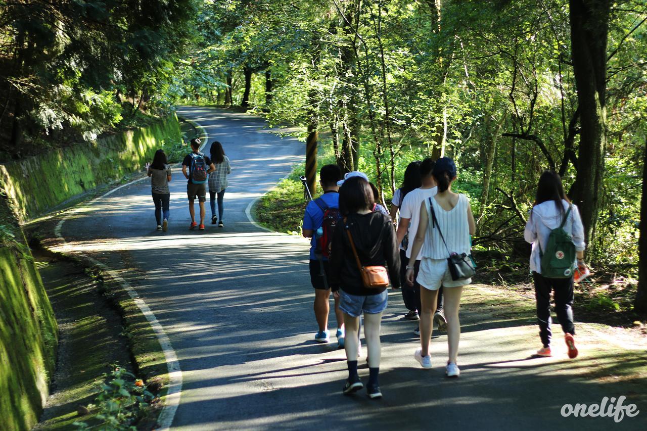 魚樂魚池 日月潭青年旅館 鱼池乡 外观 照片